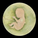 Lore Noben Bol foetus