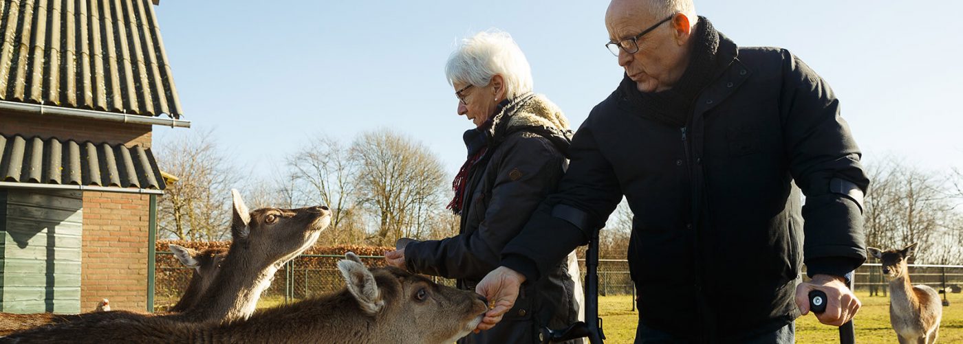 ervaring KNAP knie revalidatie MMC