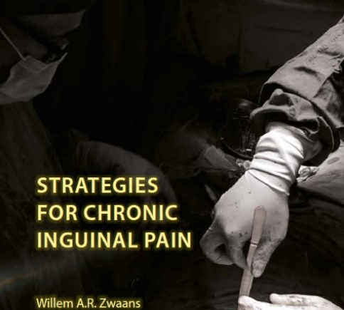 strategies for chronic inguinial pain, willem zwaans