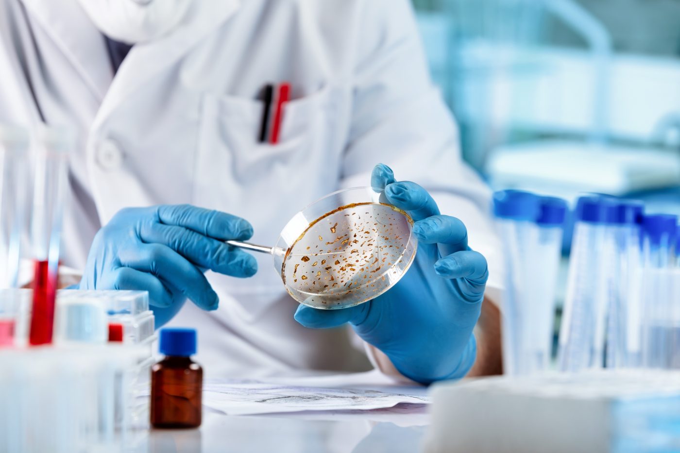 medische microbiologi